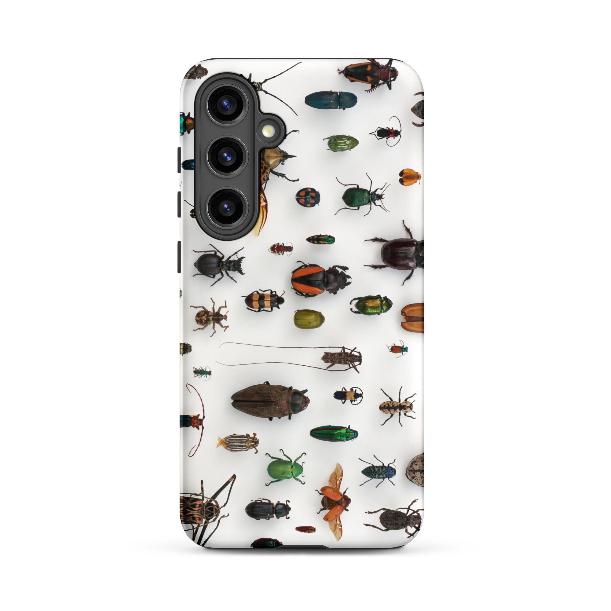 Assorted Coleoptera Beetle Taxonomy Samsung Case, Galaxy S24 Plus / Matte, White Phone Case Pattern Beetles