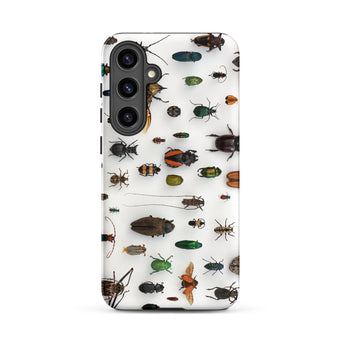 Assorted Coleoptera - Beetle Taxonomy Samsung Case, Galaxy S24 Plus / Matte, White Phone Case Pattern Beetles