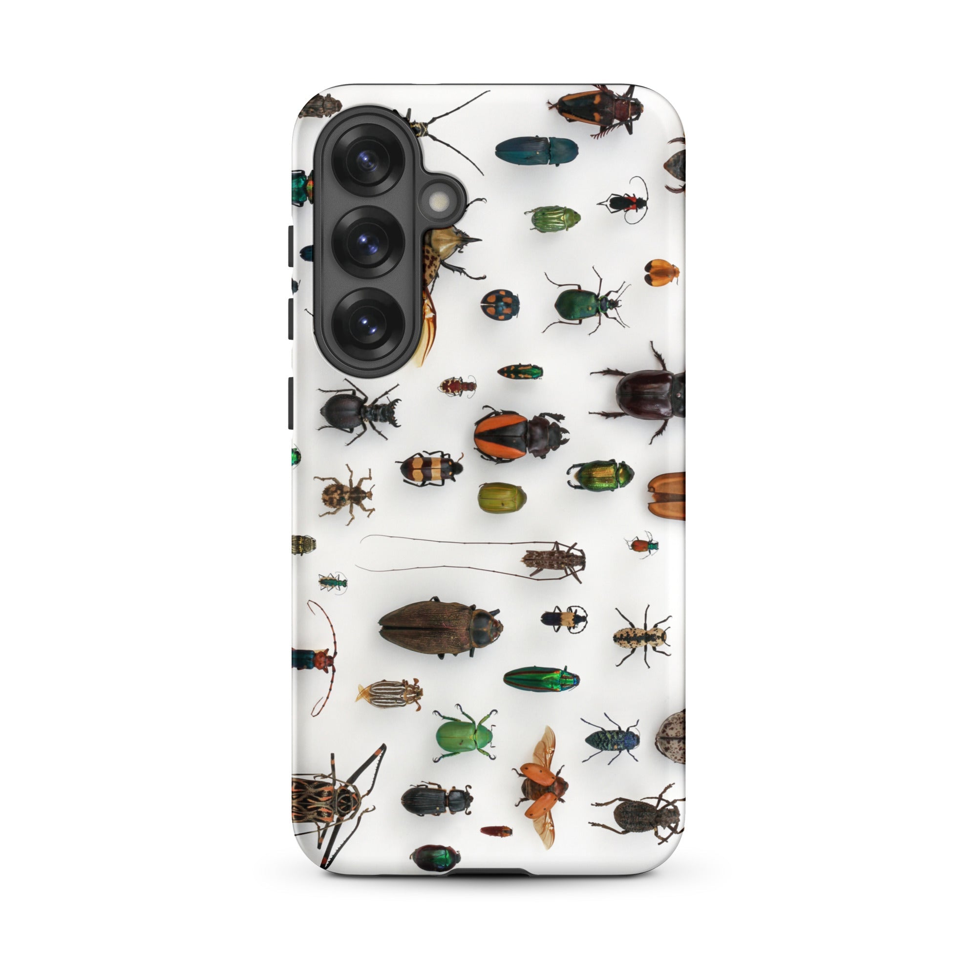 Assorted Coleoptera Beetle Taxonomy Samsung Case, Galaxy S25 Plus / Matte, Phone Case Diverse Collection Pinned Insects