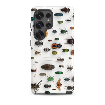 Assorted Coleoptera - Beetle Taxonomy Samsung Case, Galaxy S25 Ultra / Matte, White Phone Case Collection Pinned Insects