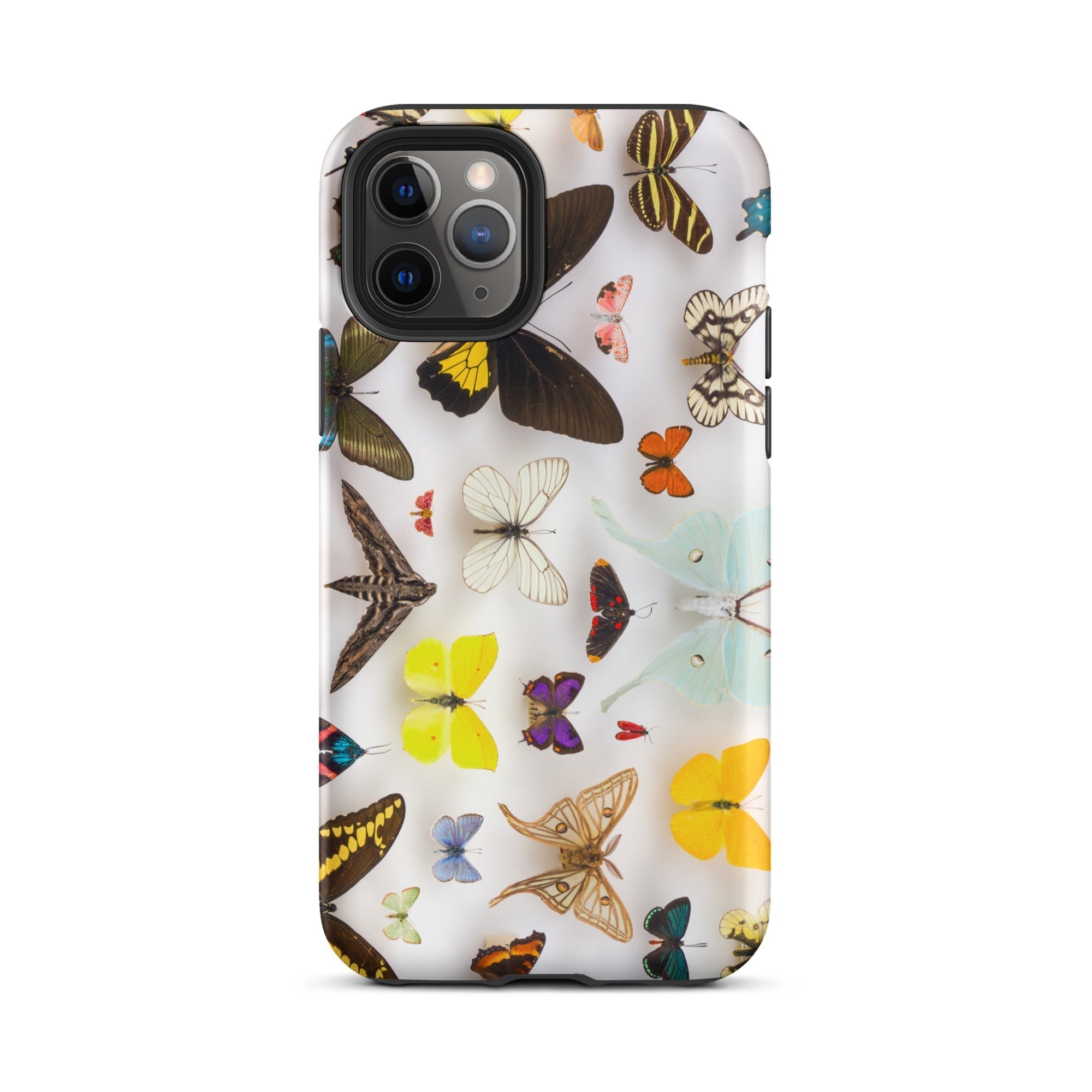 Assorted Lepidoptera Butterfly Taxonomy Iphone Case, 11 Pro / Matte, Butterfly Patterned Phone Case