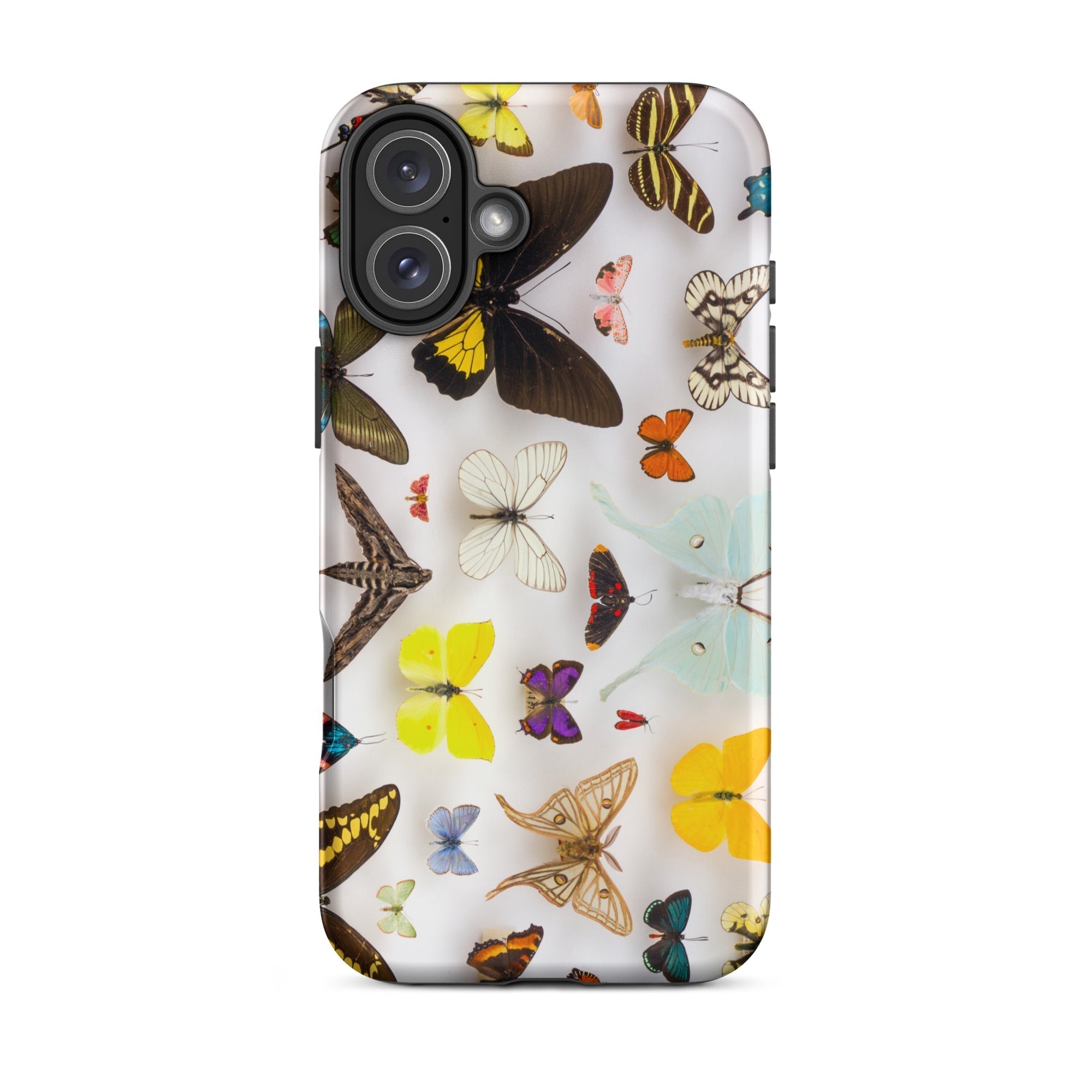 Assorted Lepidoptera Butterfly Taxonomy Iphone Case, 16 Plus / Matte, Butterfly Patterned Phone Case