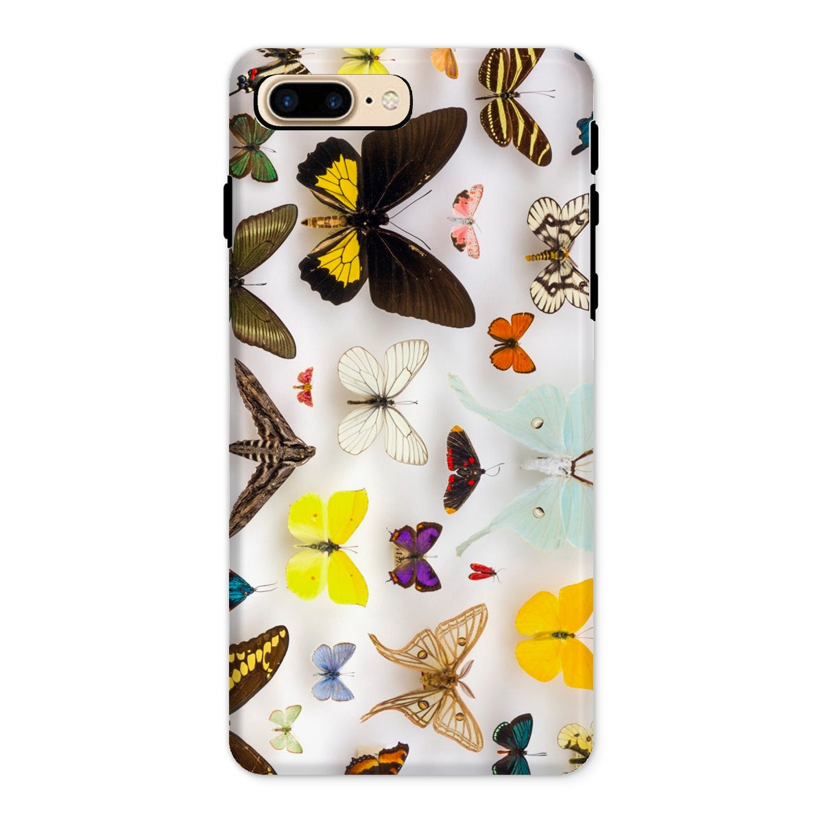 Assorted Lepidoptera Butterfly Taxonomy Iphone Case, 8 Plus / Matte, Butterfly Patterned Phone Case
