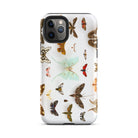 Assorted Moths Flying Creatures Taxonomy Iphone Case, 11 Pro / Matte, Butterfly Patterned Phone Case