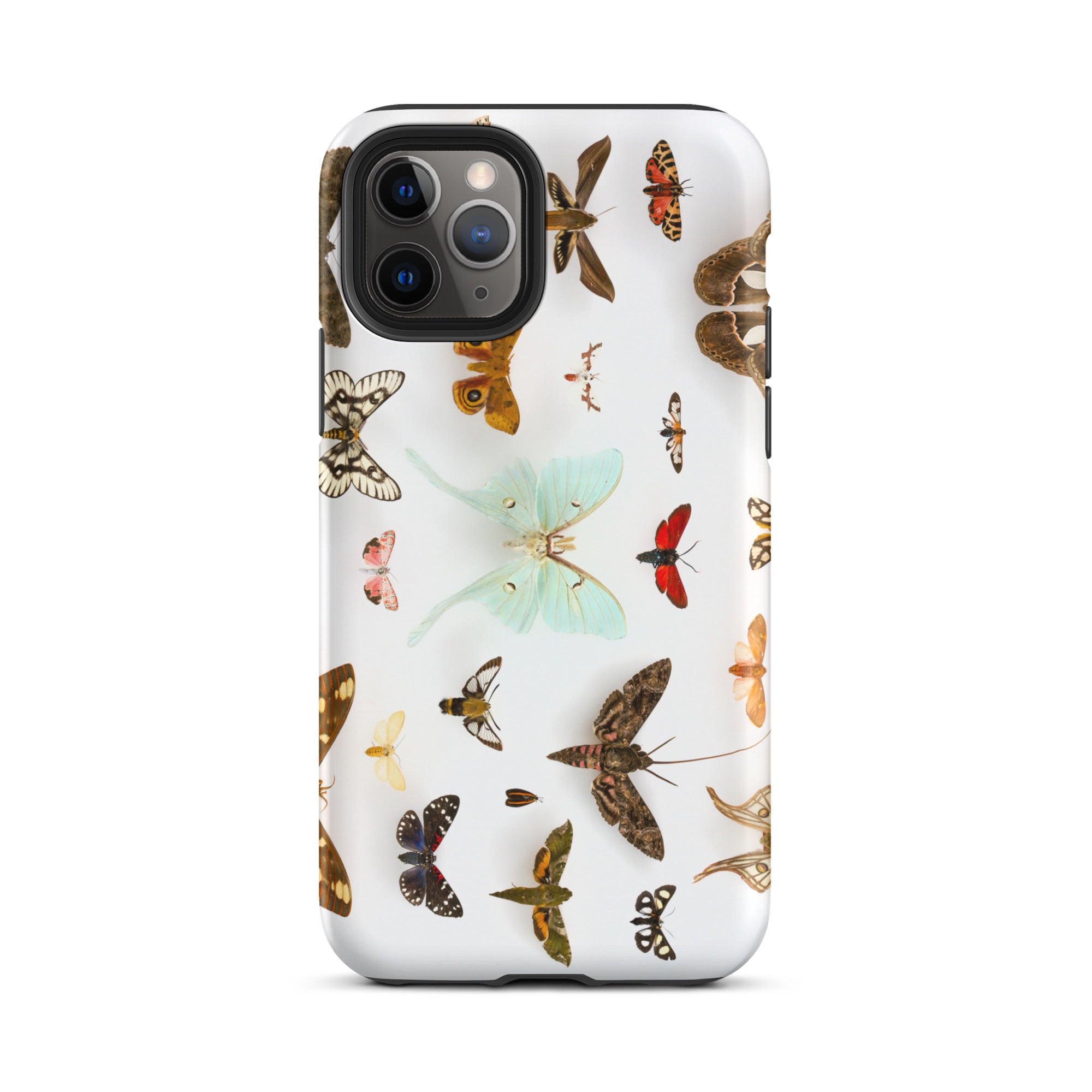 Assorted Moths Flying Creatures Taxonomy Iphone Case, 11 Pro / Matte, Butterfly Patterned Phone Case