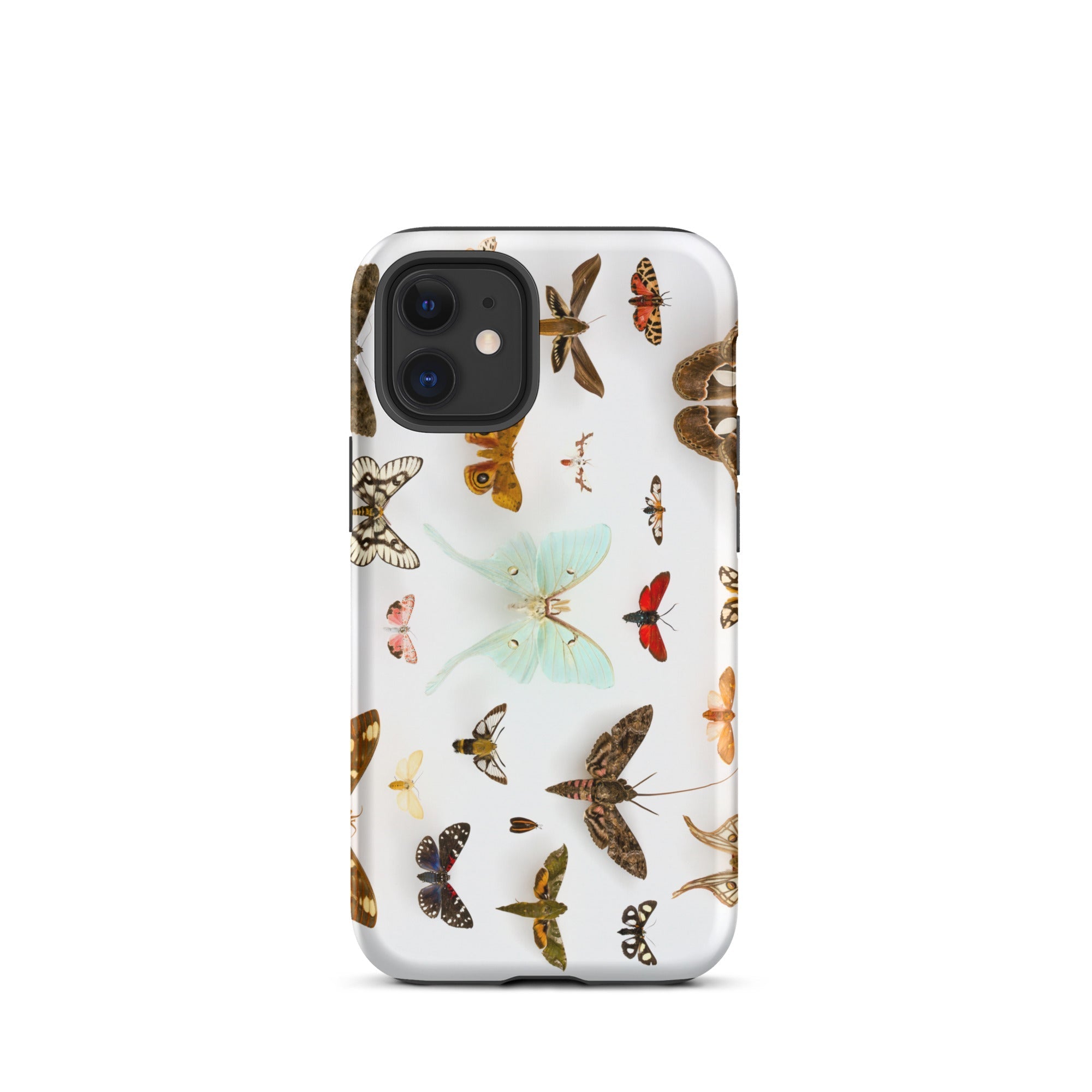 Assorted Moths Flying Creatures Taxonomy Iphone Case, 12 Mini / Matte, Butterfly Patterned Phone Case