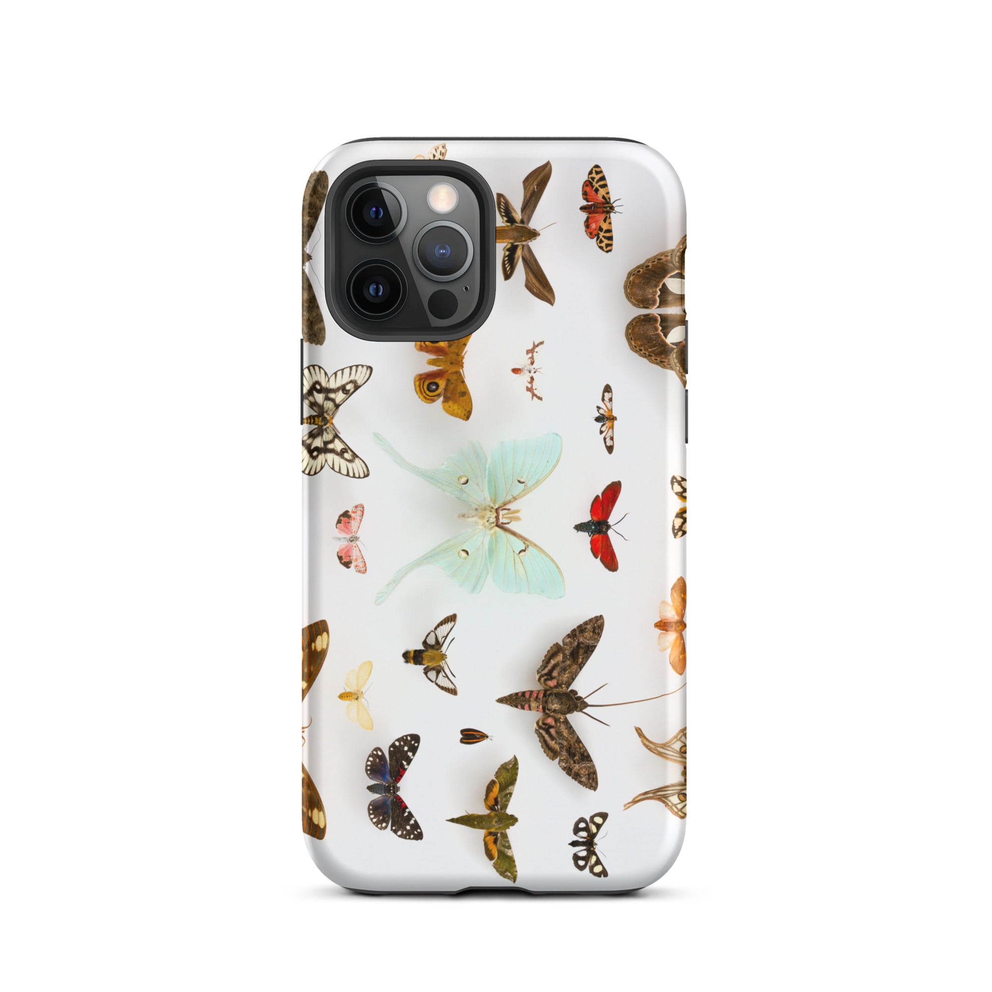 Assorted Moths Flying Creatures Taxonomy Iphone Case, 12 Pro / Matte, Butterfly Patterned Phone Case