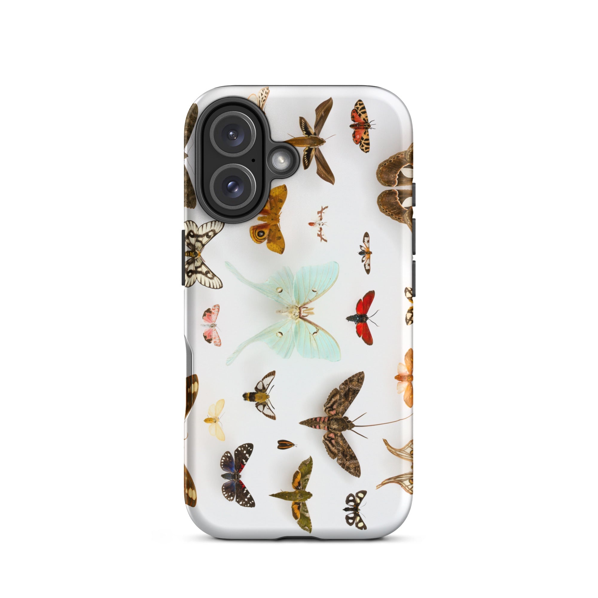 Assorted Moths Flying Creatures Taxonomy Iphone Case, 16 / Matte, Butterfly Patterned Phone Case