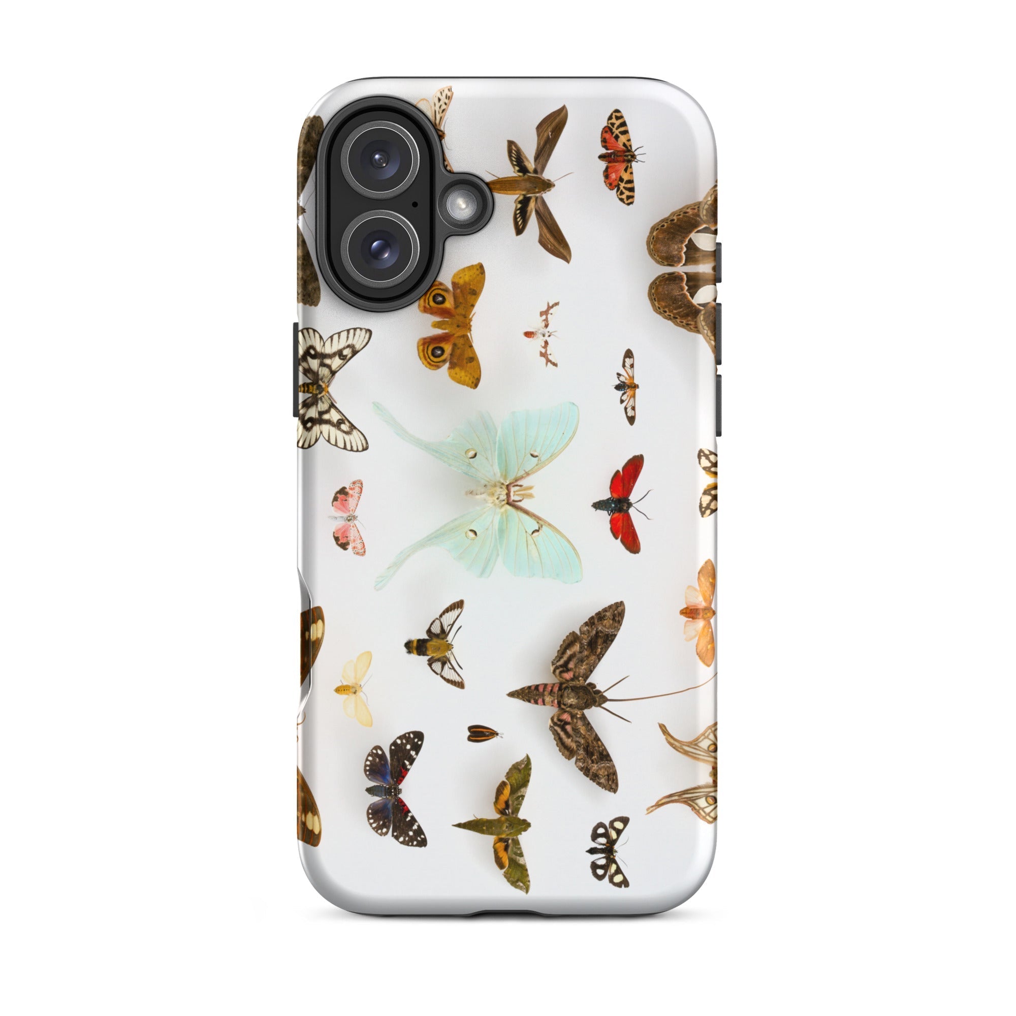 Assorted Moths Flying Creatures Taxonomy Iphone Case, 16 Plus / Matte, Butterfly Patterned Phone Case