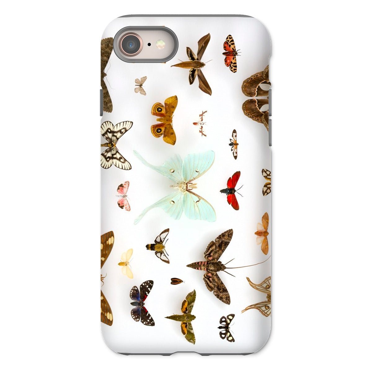 Assorted Moths Flying Creatures Taxonomy Iphone Case, 8 / Matte, Butterfly Patterned Phone Case