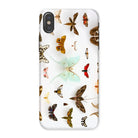Assorted Moths Flying Creatures Taxonomy Iphone Case, x / Matte, Butterfly Patterned Phone Case