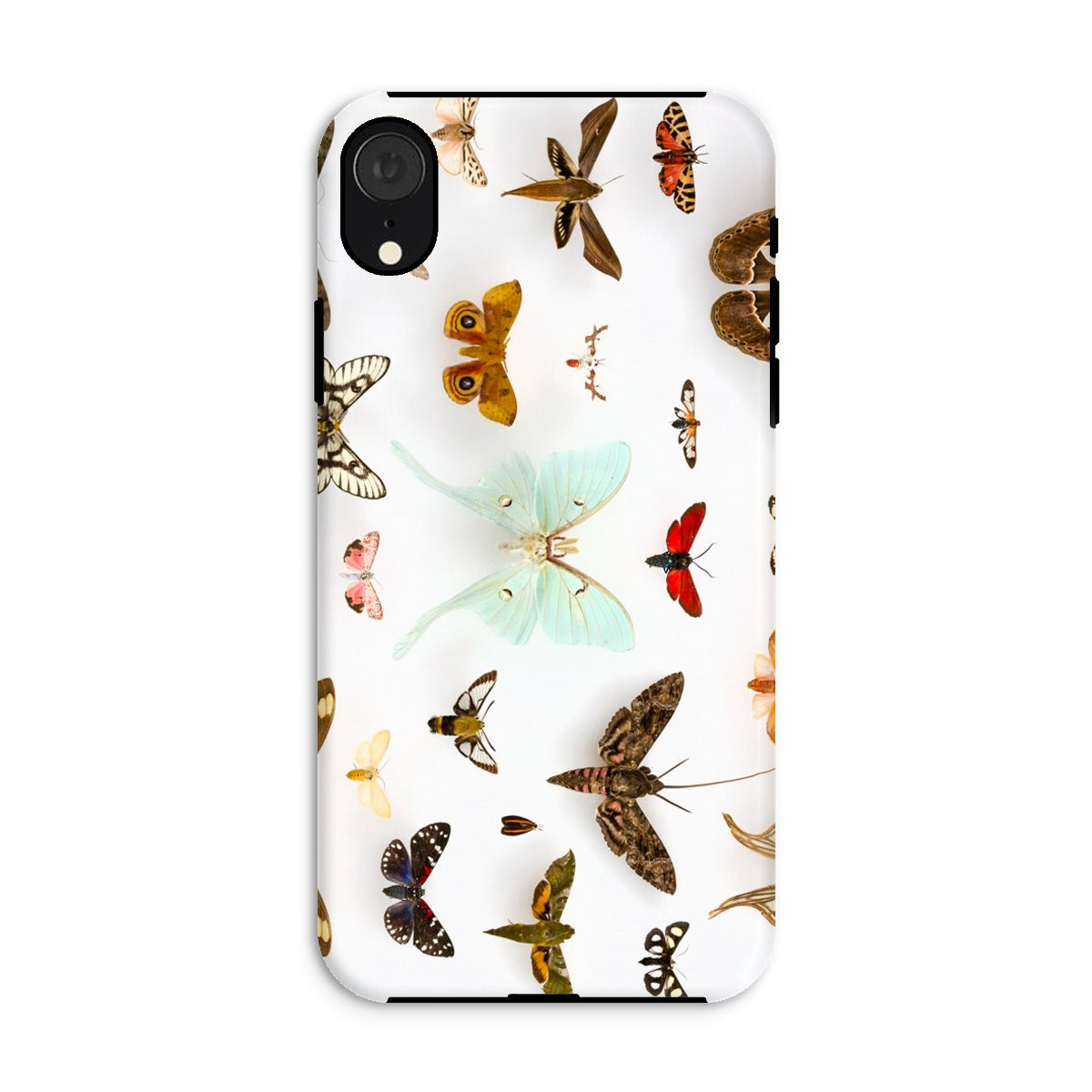 Assorted Moths Flying Creatures Taxonomy Iphone Case, Xr / Matte, White Phone Case Butterfly Pattern