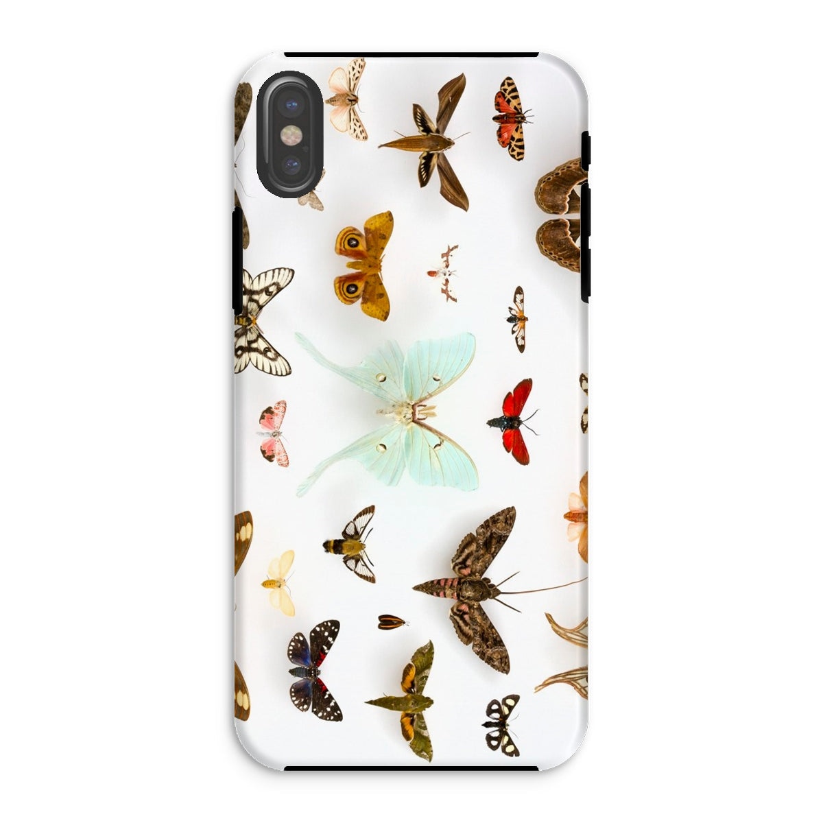Assorted Moths Flying Creatures Taxonomy Iphone Case, Xs / Matte, Butterfly Patterned Phone Case