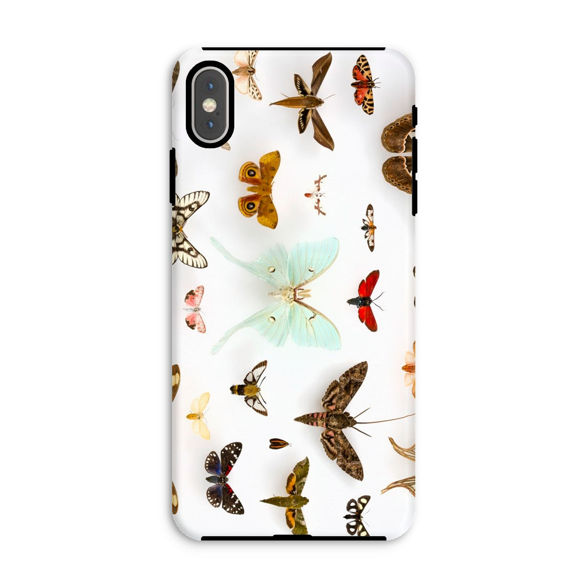 Assorted Moths Flying Creatures Taxonomy Iphone Case, Xs Max / Matte, Butterfly Patterned Phone Case