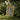 Framed Vintage-style Illustration Fairy Green Gold Attire Set Autumn Scattering Leaves, John La Farge’s, Winged Psyche-figure Poised, Olive