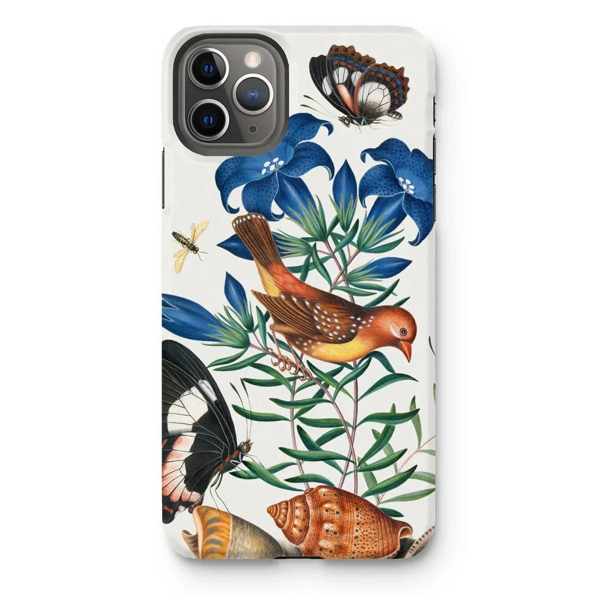 Avadavat Gentian Sawfly Swallowtail and Shells - James Bolton Iphone Case - 11 Pro Max / Matte