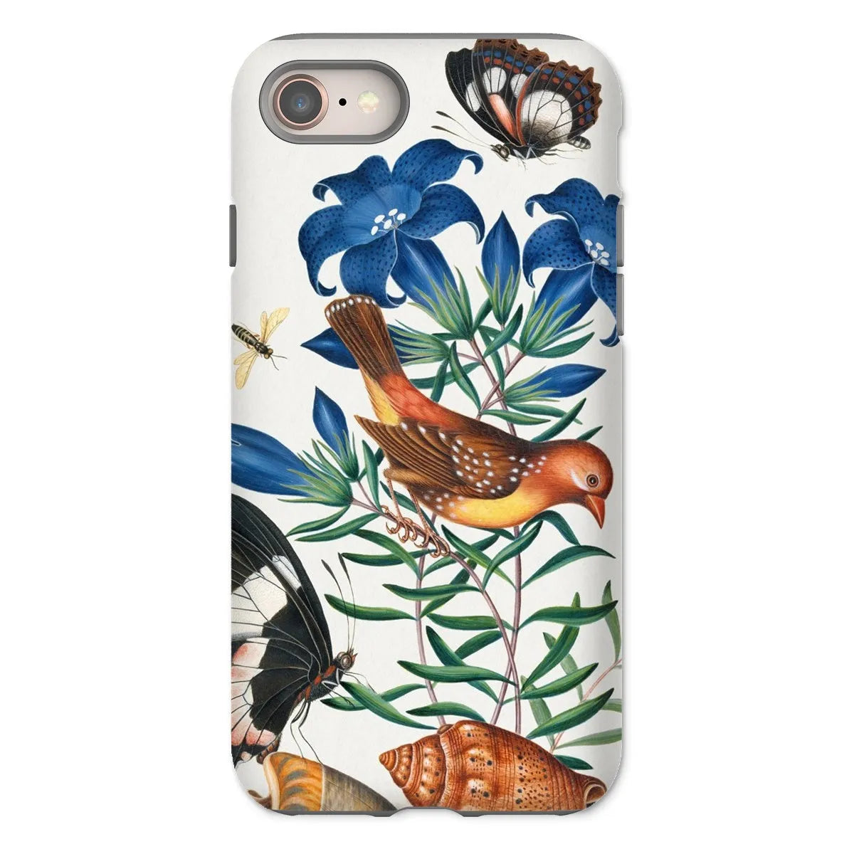 Avadavat Gentian Sawfly Swallowtail And Shells Phone Case - James Bolton - Iphone 8 / Matte - Mobile Phone Cases