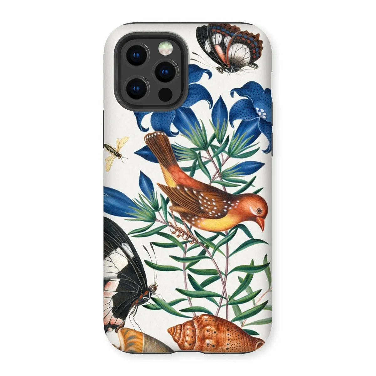 Avadavat Gentian Sawfly Swallowtail And Shells Phone Case - James Bolton - Iphone 12 Pro / Matte - Mobile Phone Cases