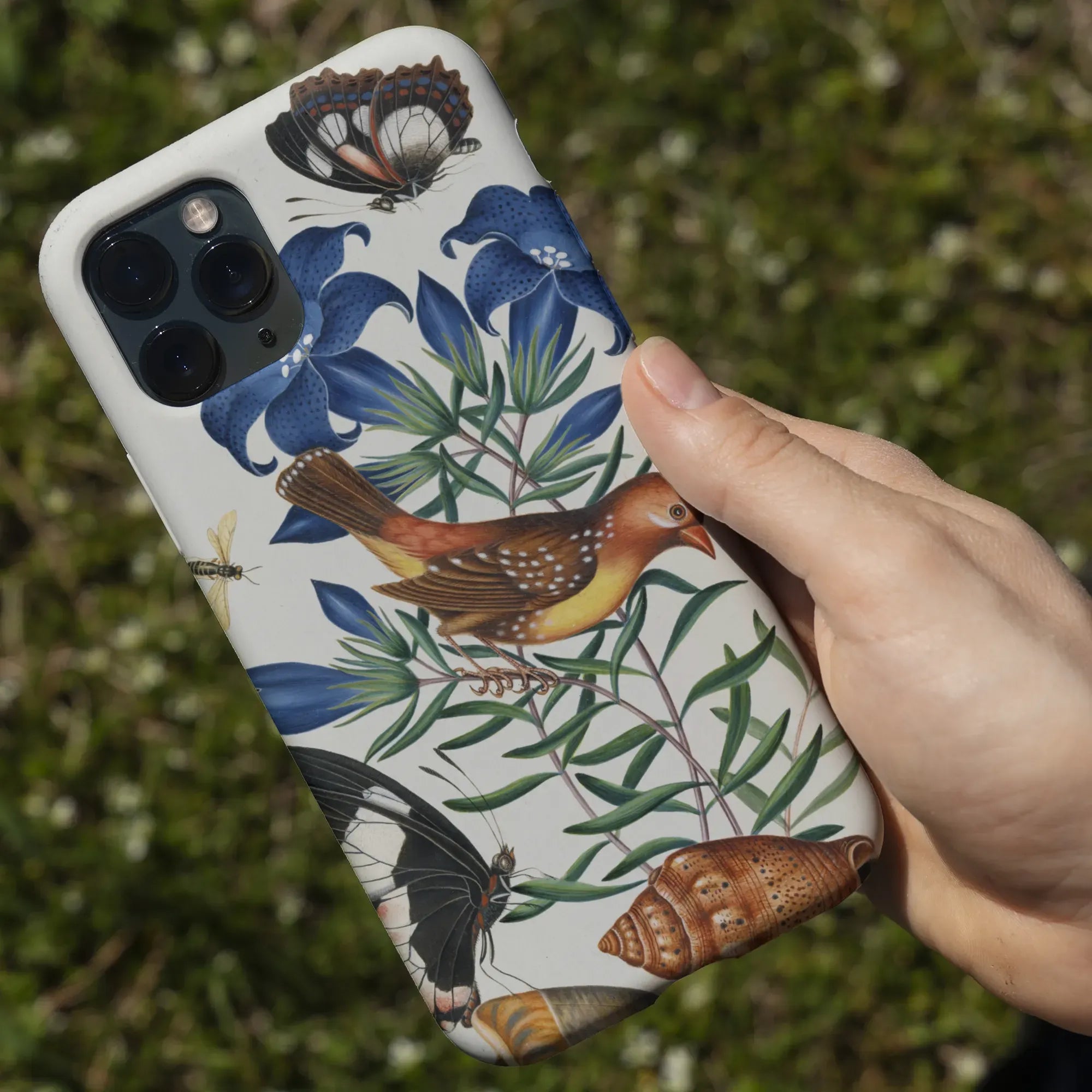Avadavat Gentian Sawfly Swallowtail And Shells Phone Case - James Bolton - Mobile Phone Cases - Aesthetic Art