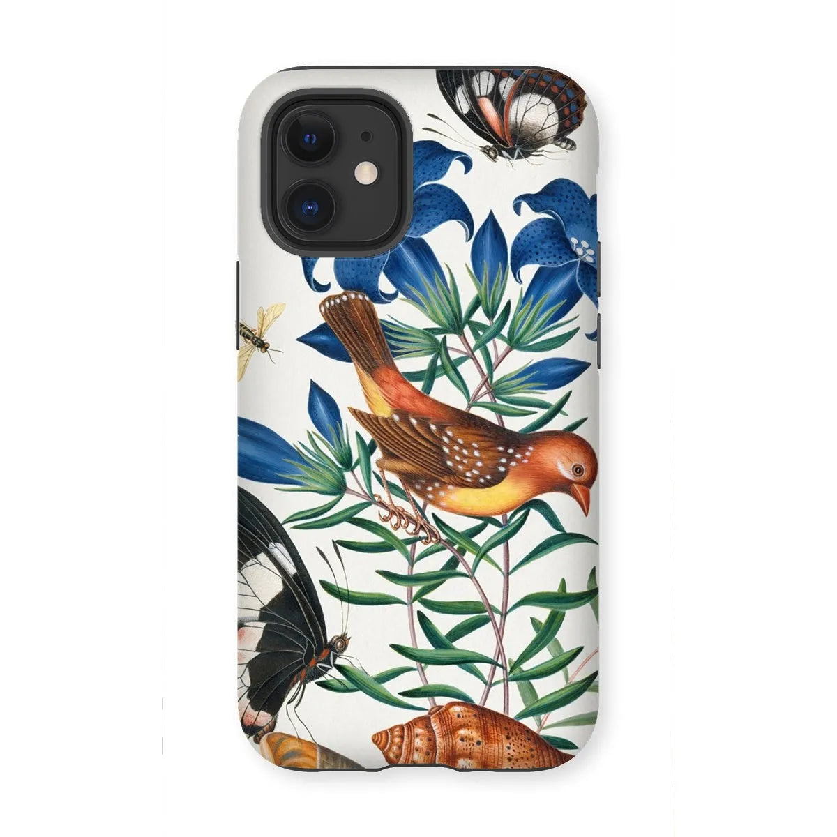 Avadavat Gentian Sawfly Swallowtail And Shells Phone Case - James Bolton - Iphone 12 Mini / Matte - Mobile Phone Cases
