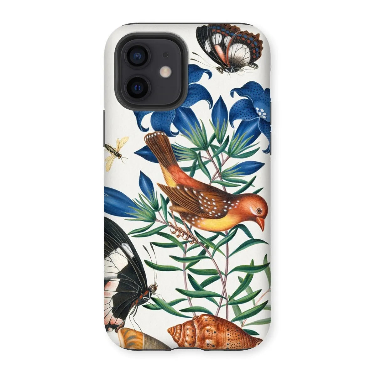 Avadavat Gentian Sawfly Swallowtail And Shells Phone Case - James Bolton - Iphone 12 / Matte - Mobile Phone Cases