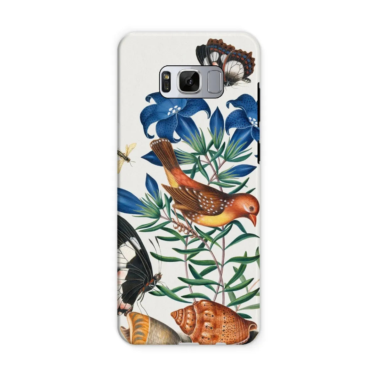 Avadavat Gentian Sawfly Swallowtail And Shells Phone Case - James Bolton - Samsung Galaxy S8 / Matte - Mobile Phone