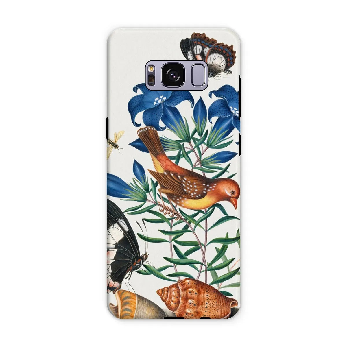 Avadavat Gentian Sawfly Swallowtail And Shells Phone Case - James Bolton - Samsung Galaxy S8 Plus / Matte - Mobile