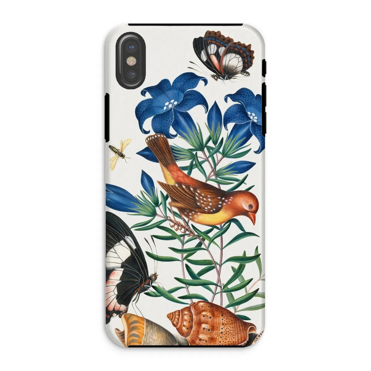 Avadavat Gentian Sawfly Swallowtail And Shells Phone Case - James Bolton - Iphone Xs / Matte - Mobile Phone Cases