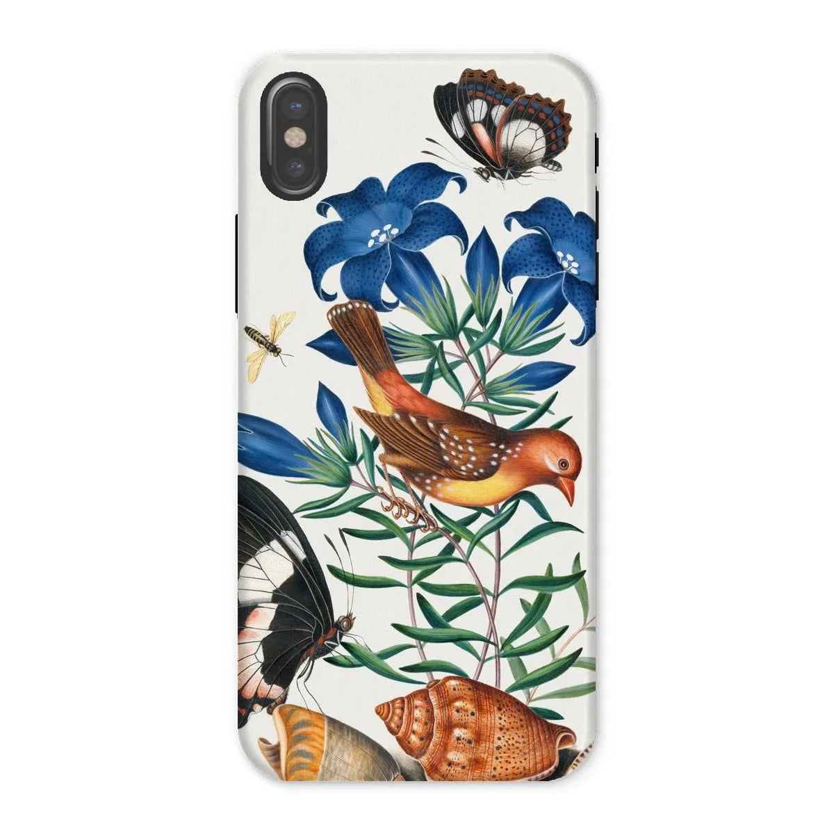 Avadavat Gentian Sawfly Swallowtail And Shells Phone Case - James Bolton - Iphone x / Matte - Mobile Phone Cases