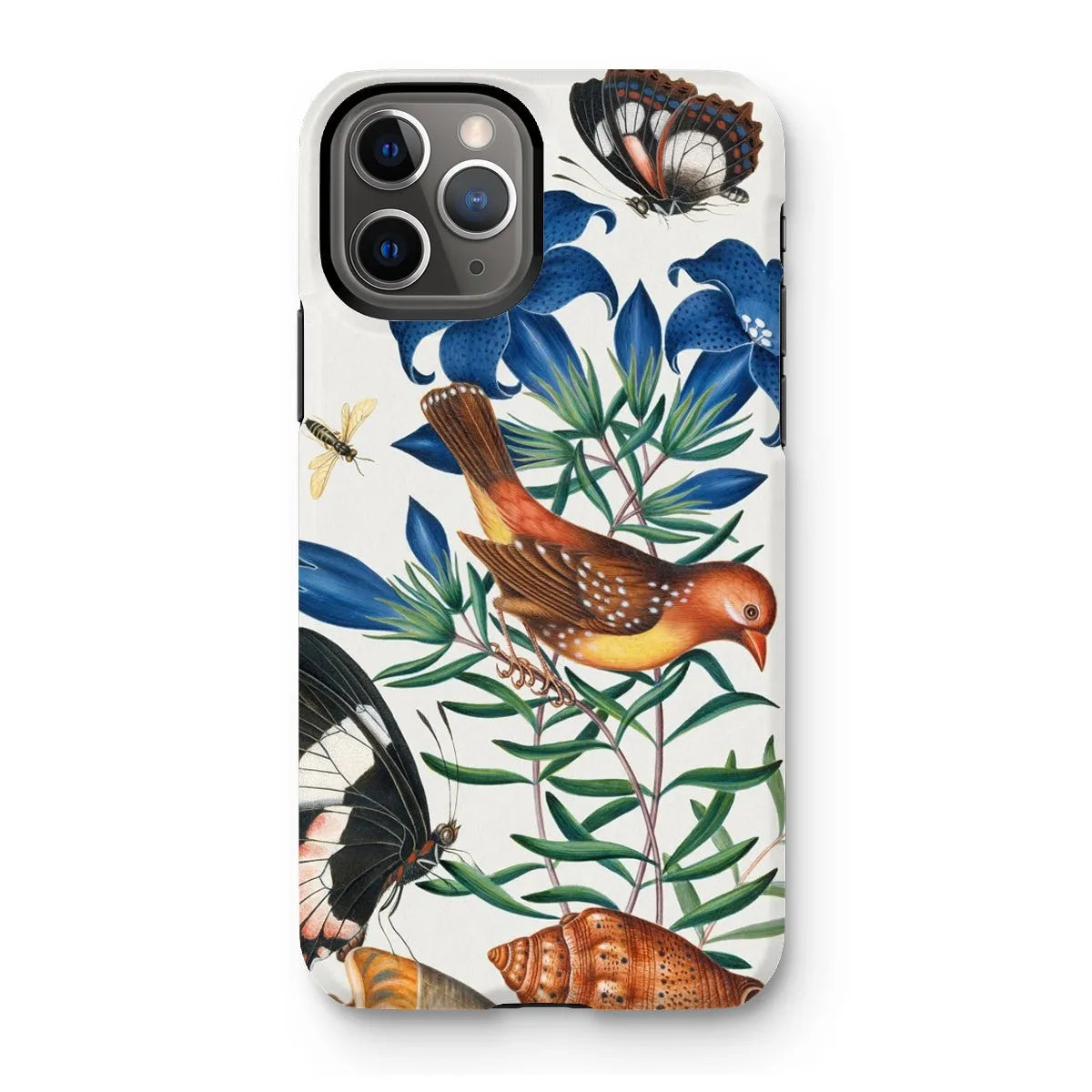Avadavat Gentian Sawfly Swallowtail And Shells Phone Case - James Bolton - Iphone 11 Pro / Matte - Mobile Phone Cases