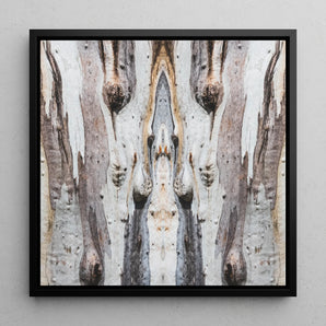 Barking Mad 3 - Tree Trunk Op Art Framed Canvas, 12x12’’ / 31x31cm / Black Floating Frame, Symmetrical Abstract Pattern Tree Bark Textures