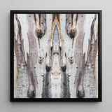 Barking Mad 3 - Tree Trunk Op Art Framed Canvas, 12x12’’ / 31x31cm / Black Floating Frame, Symmetrical Abstract Pattern Tree Bark Textures