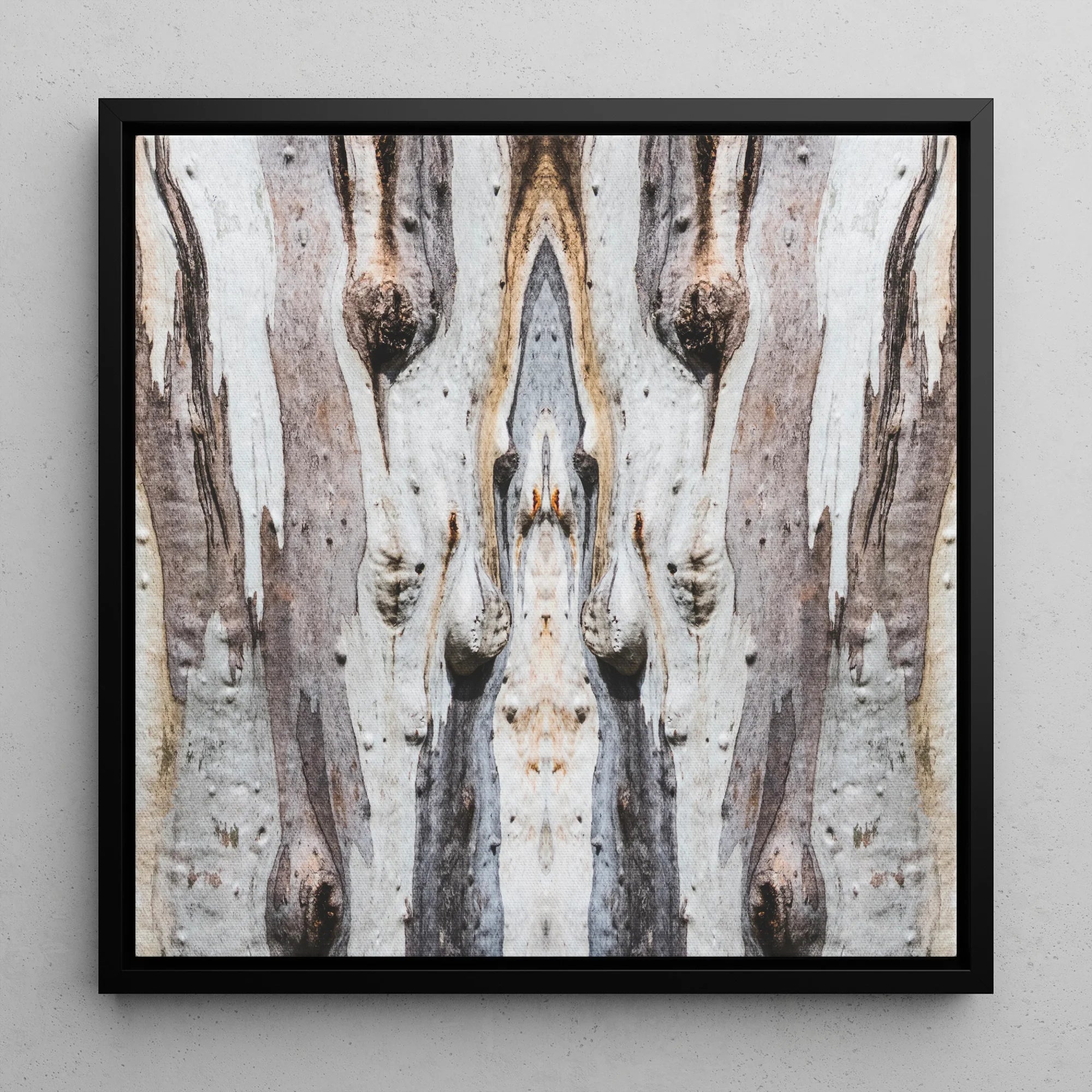 Barking Mad 3 - Tree Trunk Op Art Framed Canvas, 12x12’’ / 31x31cm / Black Floating Frame, Symmetrical Abstract Pattern Tree Bark Textures
