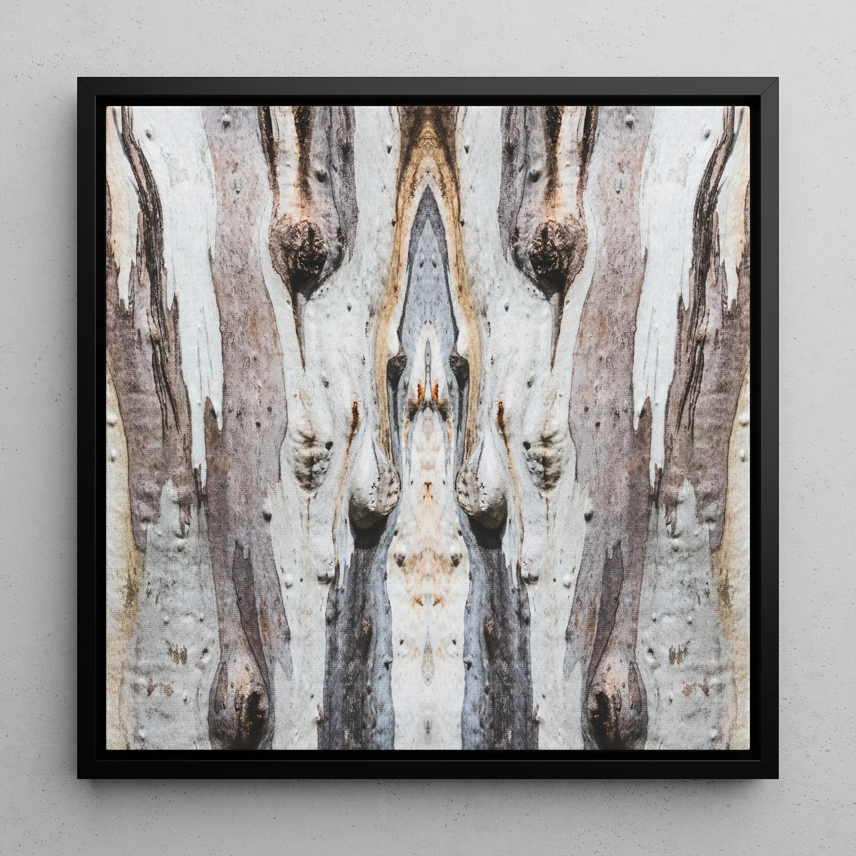 Barking Mad 3 - Tree Trunk Op Art Framed Canvas, 12x12’’ / 31x31cm / Black Floating Frame, Symmetrical Abstract Pattern Tree Bark Textures