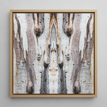 Barking Mad 3 - Tree Trunk Op Art Framed Canvas, 12x12’’ / 31x31cm / Natural Floating Frame, Framed Square Canvas Print Symmetrical