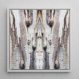 Barking Mad 3 - Tree Trunk Op Art Framed Canvas, 12x12’’ / 31x31cm / White Floating Frame, Symmetrical Tree Bark Art