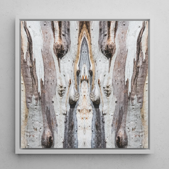 Barking Mad 3 - Tree Trunk Op Art Framed Canvas, 12x12’’ / 31x31cm / White Floating Frame, Symmetrical Tree Bark Art