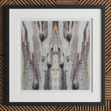 Barking Mad 3 - Trippy Tree Trunk Art Print, 12x12’’ / 31x31cm / Black Frame / 2’’ Matboard, Framed Abstract Art Print Textured Symmetrical