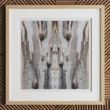 Barking Mad 3 - Trippy Tree Trunk Art Print, 12x12’’ / 31x31cm / Natural Frame / 2’’ Matboard, Framed Abstract Artwork Symmetrical Tree