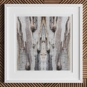 Barking Mad 3 - Trippy Tree Trunk Art Print, 12x12’’ / 31x31cm / White Frame / 2’’ Matboard, Framed Abstract Print Tree Bark