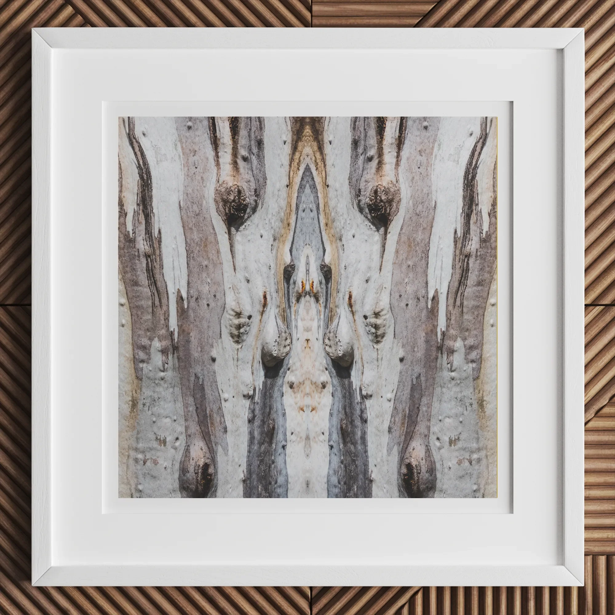 Barking Mad 3 - Trippy Tree Trunk Art Print, 12x12’’ / 31x31cm / White Frame, Framed Abstract Print Tree Bark