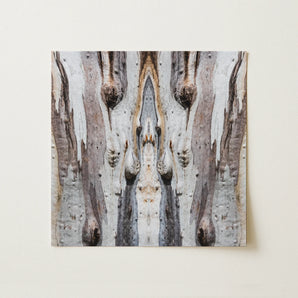 Barking Mad 3 - Trippy Tree Trunk Art Print / Canvas, 12x12’’ / 31x31cm / Unframed / no Border, Posters Prints & Visual Artwork, Toby Leon