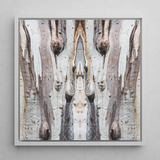 Barking Mad 3 - Trippy Tree Trunk Art Print / Canvas, 12x12’’ / 31x31cm / White Frame, Posters Prints & Visual Artwork, Toby Leon