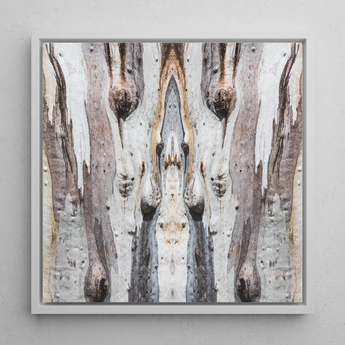 Barking Mad 3 - Trippy Tree Trunk Art Print / Canvas, 12x12’’ / 31x31cm / White Frame, Posters Prints & Visual Artwork, Toby Leon