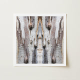 Square-framed Abstract Art Print Symmetrical Mirrored Composition Textured Barking Mad’s Striking Symmetry, Trippy Tree Trunk, Presents