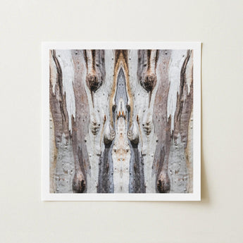 Square-framed Abstract Art Print Symmetrical Mirrored Composition Textured Barking Mad’s Striking Symmetry, Trippy Tree Trunk, Presents