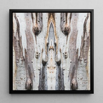 Barking Mad 3 - Trippy Tree Trunk Art Print / Canvas, Barking Mad’s Striking Symmetry, Trippy Tree Trunk, Striking Symmetry Presents