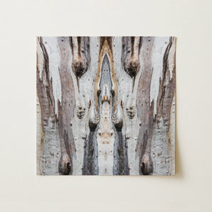 Barking Mad 3 - Trippy Tree Trunk Art Print / Canvas, Barking Mad’s Striking Symmetry, Trippy Tree Trunk, Striking Symmetry Presents