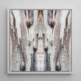 Barking Mad 3 - Trippy Tree Trunk Art Print / Canvas, Barking Mad’s Striking Symmetry, Trippy Tree Trunk, Striking Symmetry Presents
