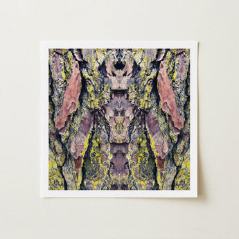 Barking Mad too - Trippy Tree Trunk Art Print / Canvas Square-framed Abstract Symmetrical Kaleidoscopic Design Transports, Nature’s